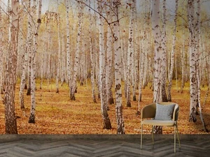 3D Herbst Birke Wald Tapete Fototapete Ablösbar Selbstklebend 72 - Bild 1 von 4