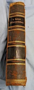 Pflantzenleben (Plant Life) Kerner 1887 in German Volume 1 734 pages - Imagen 1 de 12