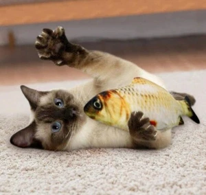 Katzen Spielzeug Clownfisch. Elektrisch wedelnder Fisch.USB Laden. - Bild 1 von 4