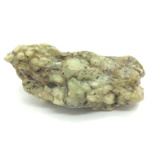 Big Sur Botryoidaler Nephrit Jade Kiesel Grün Ozean Blase Stein Monterey #60 - Bild 1 von 10