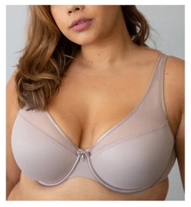 NWT Curvy Couture Sheer Mesh Push Up Underwire Bra Size 42DDD Pushup 42 DDD New - Picture 1 of 10