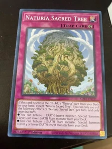 Naturia Sacred Tree - Picture 1 of 1