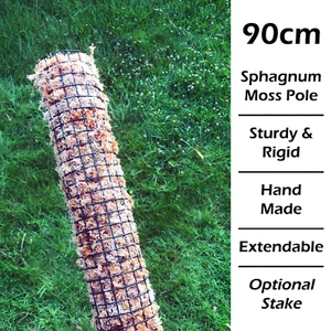 LARGE 90 x 6 cm Climbing Monstera Albo Totem Plant Stick Support Pole + 80g Moss - Picture 1 of 6