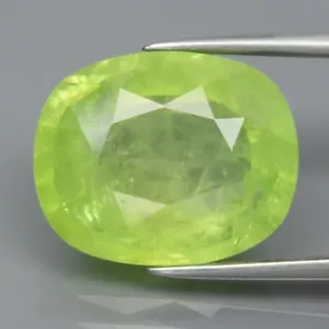 💎 GLC 9.09ct Cushion Natural Green Grossular - Andradite Garnet Unheated Gem - Picture 1 of 5