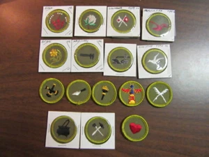 Boy Scout Twill Merit Badges, Lot of 16      c5 - Picture 1 of 1