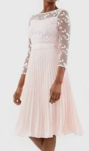 Coast Odetta Lace Midi Womens Dress, Womens Dress UK Size 6, 2xs, Pink, New - Picture 1 of 14