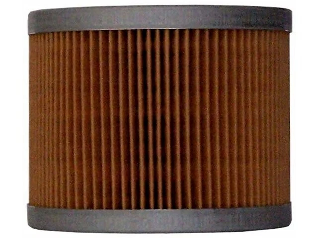 Filtro Combustible Para 74-76, 81-83 Peugeot 504 505 2.1L 4 Cyl 2.3L DIESEL GF17J1 Foto 1 de 1