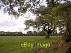 Photo 6x4 Mature oak in a field at Hedge Corner, Dilton, New Forest Sandy c2005