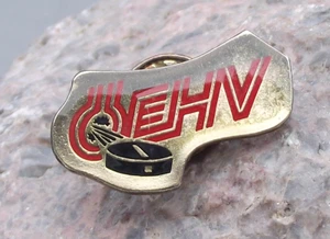 OEHV Austrian Austria Ice Hockey Association Puck Logo Pin Badge - Picture 1 of 2