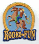 RODEO FUN Iron On Patch Southwest Western 