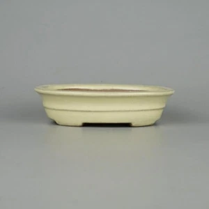 Maceta Bonsai Japonesa TOKONAME YAMAFUSA Forma Ovalada W13.5cm H3.3cm Blanco Esmaltado - Imagen 1 de 24