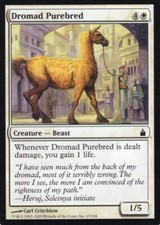 4X DROMAD PUREBRED WHITE RAVNICA CITY GUILDS MTG MAGIC MP X4 (yourdeckbuilder)