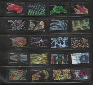 US Sc# 5702a-t LIFE MAGNIFIED SET of 20 USED SINGLES OFF PAPER SOUND - Picture 1 of 1