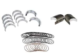 ENGINE Kit w/MOLY Rings+Rod/Main Bearings for 1969-1976 Ford 351 5.8L Windsor - Bild 1 von 7