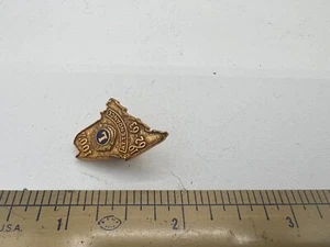 Vintage MAINE 1962 1963 100% Attendance Lions Club Pin with Screw Back - Picture 1 of 4