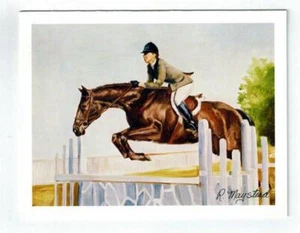 New Brown Horse Equestrian Notecard Set - 6 Blank Note Cards By Ruth Maystead - Picture 1 of 5