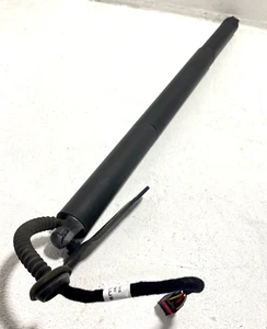 2020-2022 Volkswagen Atlas Rear Driver Left Trunk Lid Lift Cylinder OEM - Bild 1 von 9