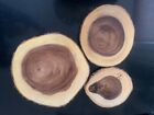 Set of 3 Rustic Wood Log Slices 9