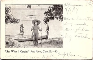 Cary Illinois IL Fox River UDB Postcard Young Fisherman "See What I Caught" 1907 - Picture 1 of 2
