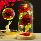 Eternal Rose Gift Valentine's Gift Rose Flower Artificial Roses in Glass Dome