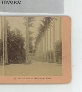 Botanischer Garten Rio de Janeiro Brasilien Kilburn Stereoview - Bild 1 von 2