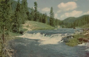 Postal del Parque Nacional Gibbon River Yellowstone de Wyoming - Imagen 1 de 2
