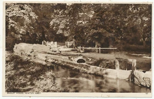 Hadley Woods, Newton Abbot, Devon - Picture 1 of 1