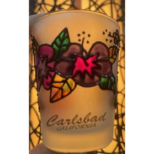 Carlsbad California hibiscus shot glass Frosted. Beautiful Colors! Mint Cond. 🌺 - Picture 1 of 19