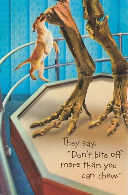 Divertida Tarjeta de Cumpleaños de Dinosaurio Humoroso Niños American Greetings Foto 1 de 4