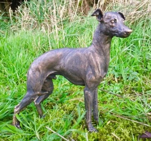 Greyhound Dog Statue Ornament Figurine Bronze Effect Finish. - Picture 1 of 9