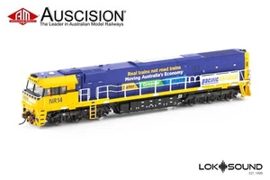 Auscision (NR-45S) NR14 Pacific National (Real Trains)-Blue/Yellow-HO Scale DCC - Picture 1 of 2