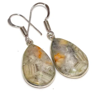 Crazy Lace Agate 925 Silver Plated Earrings 1.5" Aesthetic Jewellery GW - Picture 1 of 3