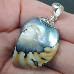 925 Sterling Silver Small Natural Nautilus Shell Pendant Jewellery NSP-574 - Picture 1 of 6
