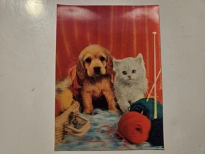 Vintage linsenförmige 3D Postkarte Welpe Hund und Kätzchen Katze Katze Asahi Japan unbenutzt - Bild 1 von 3