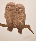 Vintage Signed Owl Print- Do you know the Artist or Recognize the signature?