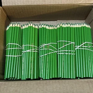 (300) Crayola Colored Pencils (yellow green) BULK - Picture 1 of 1