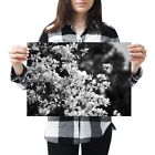 A3 - Magnolia Flowering Plant Pink Poster 42X29.7cm280gsm(bw) #43168