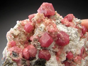 Roter Grossular Granat, Sierra de Cruces, Coahuila, Mexiko - Bild 1 von 8
