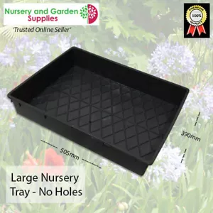 Large Nursery Tray (multipak) with Solid Base - NO HOLES - Pack of 1 - Picture 1 of 5