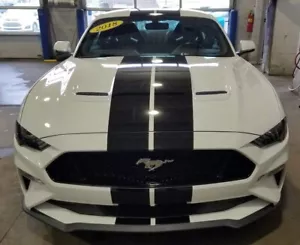 Calcomanía de vinilo a rayas para Ford Mustang-Shelby para carreras rayas víbora para Hood-Ro - Imagen 1 de 3