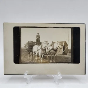 Detailed Photo of Horse Team on Farm RPPC Occupational Female Farmer AZO - Picture 1 of 3