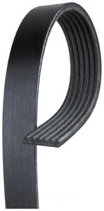 Serpentine Belt-Standard ACDelco 6K539