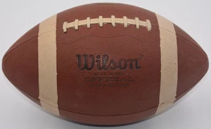 Wilson f1522 TN Top notch football 13lbs Official Size and weight - Picture 1 of 6