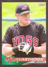 2004 WINSTON-SALEM WARTHOGS Choice Minor League Single Cards YOU PICK OBO