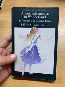 2001 LEWIS CARROLL "ALICE IM WUNDERLAND / DURCH DEN BLICKGLAS" PB BUCH (P2) - Bild 1 von 18