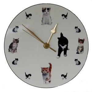 Cat Clock round clock with Kittens as the dial, Size 19cm diameter - Free Post - Picture 1 of 8