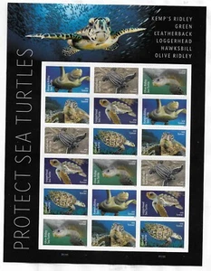 Scott #5870a (5865-70) Sea Turtles Full Sheet of 18 Forever Stamps - MNH UV - Picture 1 of 2