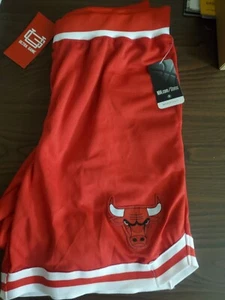 NBA Herren Bulls Shorts Größe XL - Bild 1 von 2