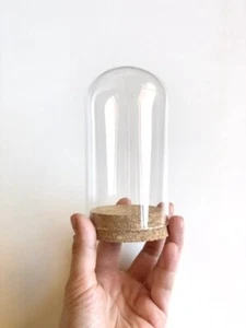Cloche Jar Glass Display Dome with Cork Base, Bell Jar, Home Decor, 120x68mm - Picture 1 of 5