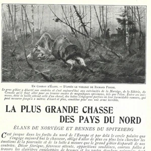 La plus grande chasse des pays du nord - Elans Rennes - - Article de presse 1903 - Picture 1 of 5